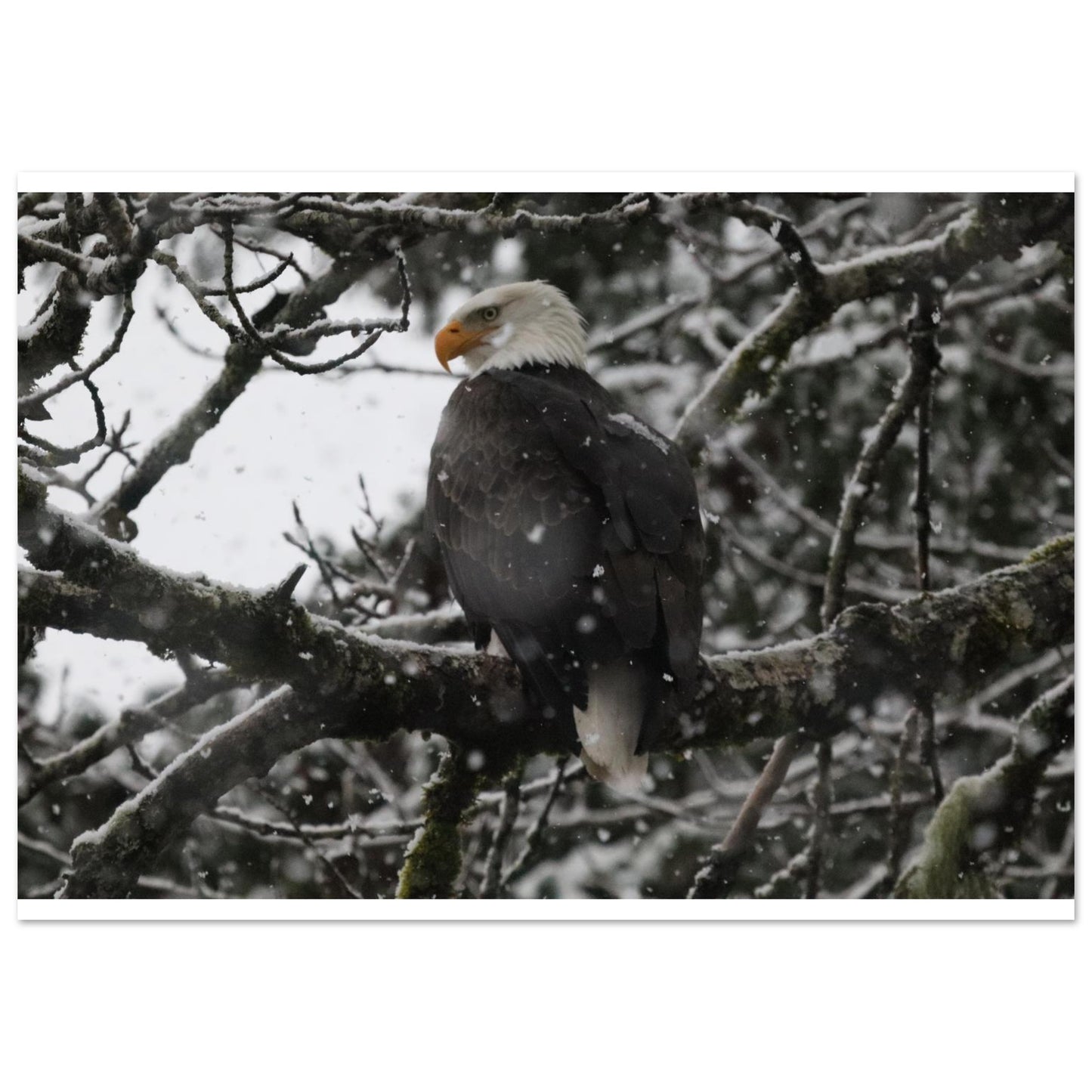 e5061998-74e5-47d1-935d-ad7a43f45408
