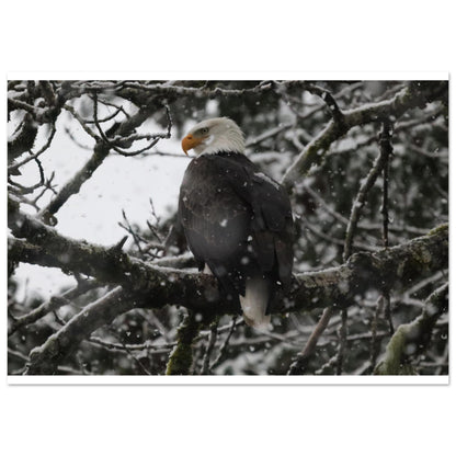e5061998-74e5-47d1-935d-ad7a43f45408