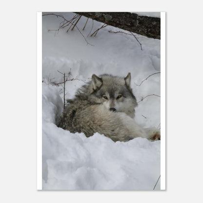 e57e8003-e572-44b1-9544-e39f93129e29