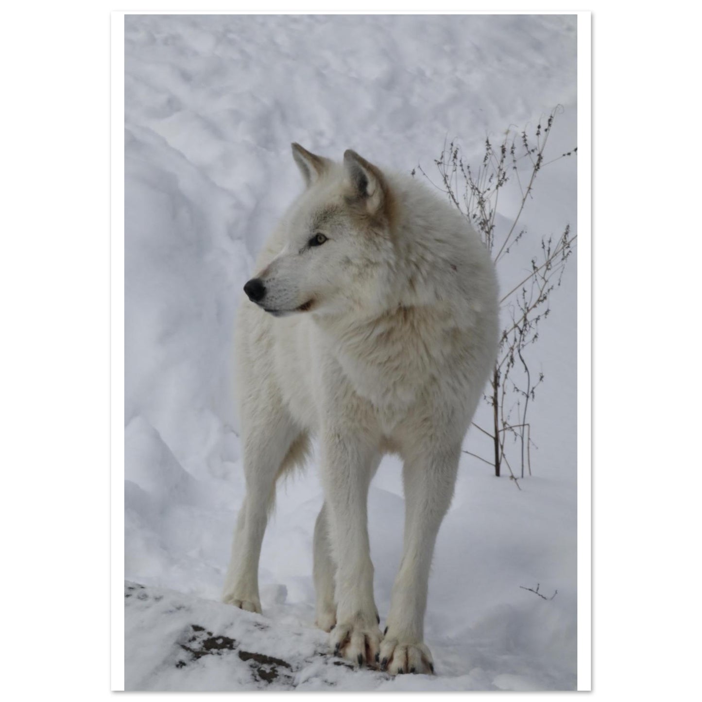 e5d5914d-96ac-47b4-8824-542137c1e510