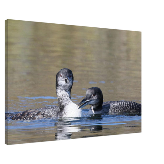 e65d0fc0-7a7e-4027-8261-58205a02137d