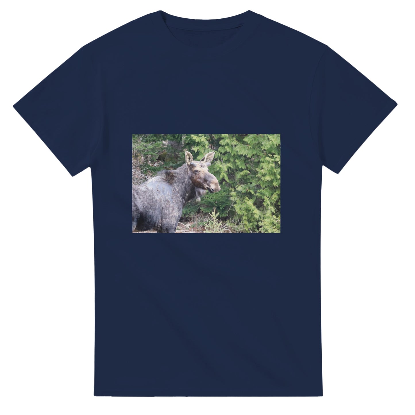 e7299289-7e8e-4656-a45f-c40c4bf460cd