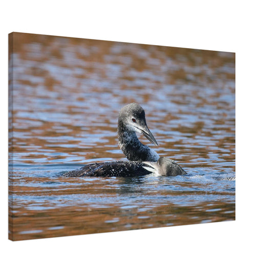 e7a534c4-1f64-4d0b-b810-3795e0aa94a0