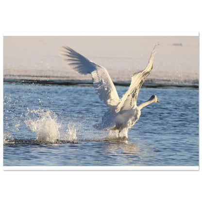 e8b89407-e22c-46fd-9e36-f29b3d6e09cf