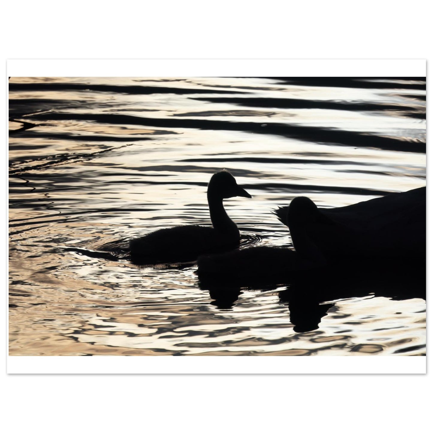 e8d74f8c-65f1-4fb1-9fc4-cbb5ff180560