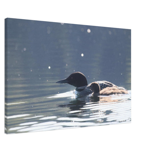 e9084775-fb00-44bc-827d-daef3c8b688e