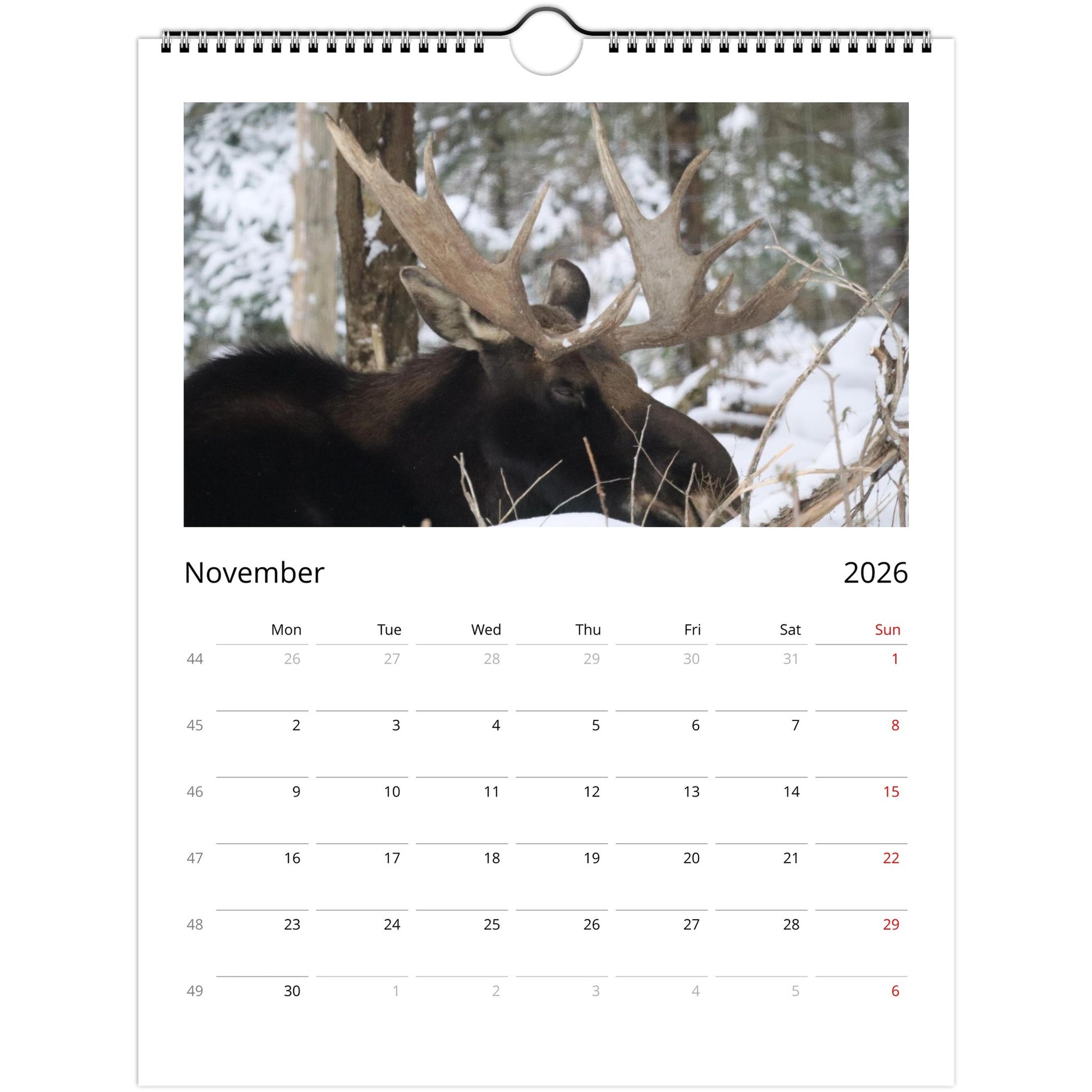 ea12c8c2-24d9-4519-bbaf-f13a5b745544