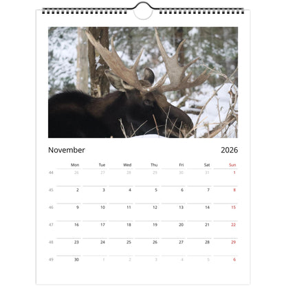 ea12c8c2-24d9-4519-bbaf-f13a5b745544