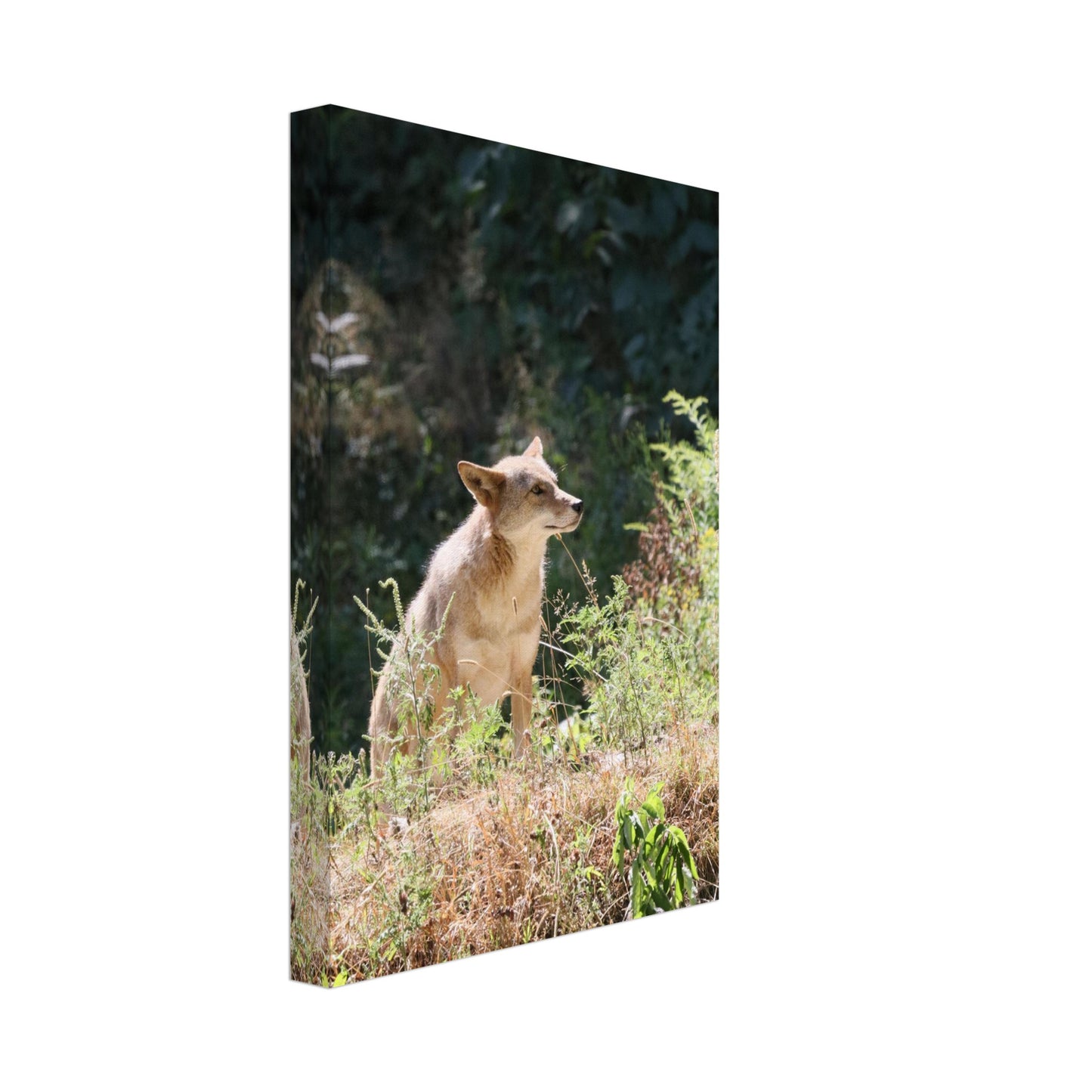 ea268b73-6f7e-48d4-9cbe-b9d8942eee5b