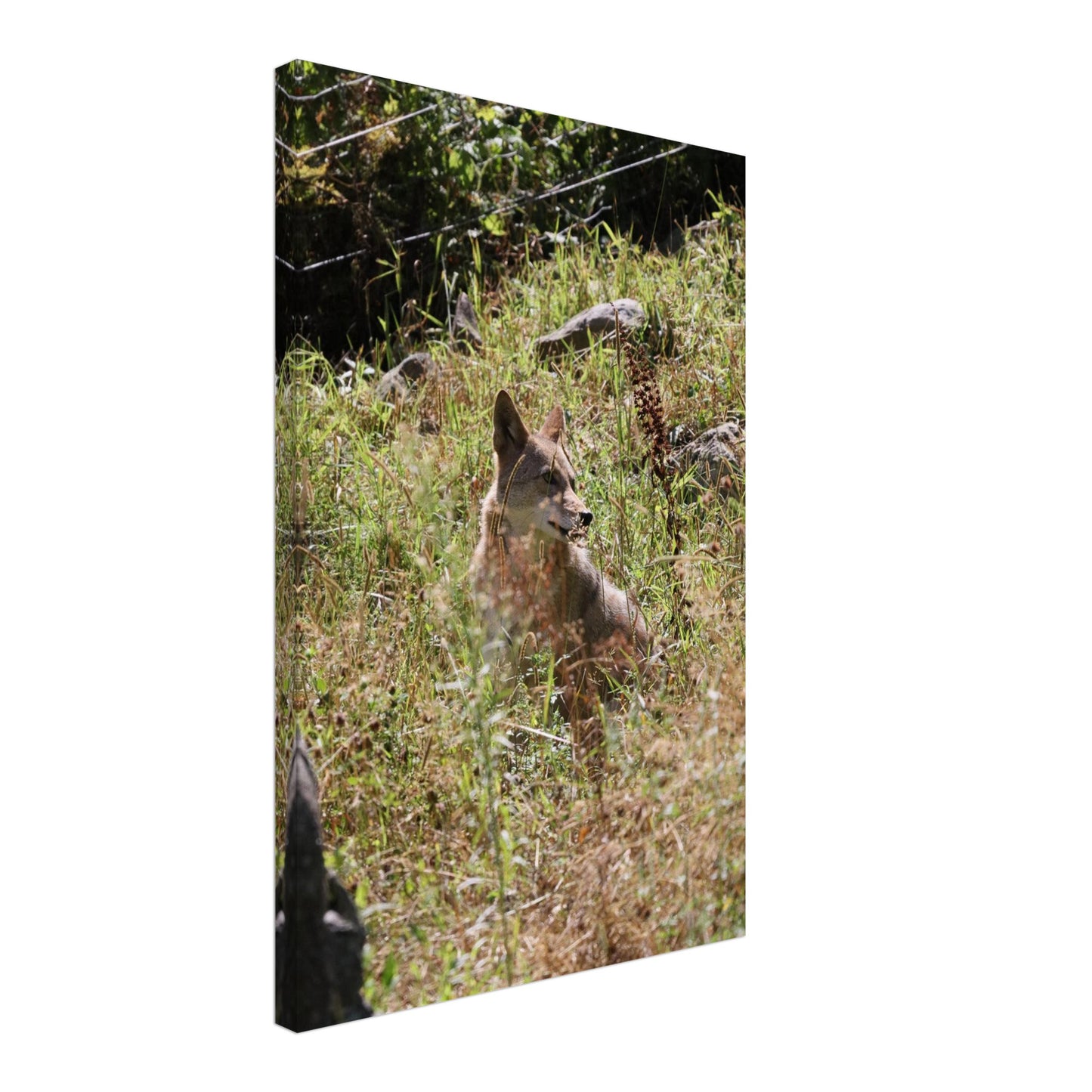 ea36ac1d-9c12-4894-8686-5cc52ffd3836