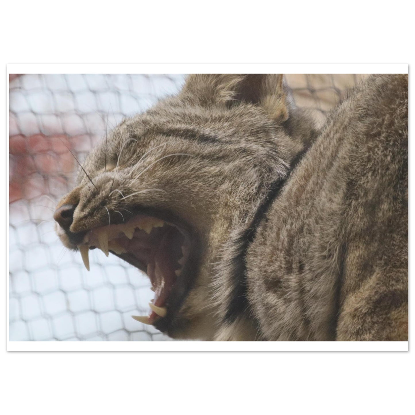 eace9025-cf99-46f3-8544-59f48e7ebae5