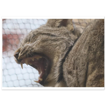 eace9025-cf99-46f3-8544-59f48e7ebae5