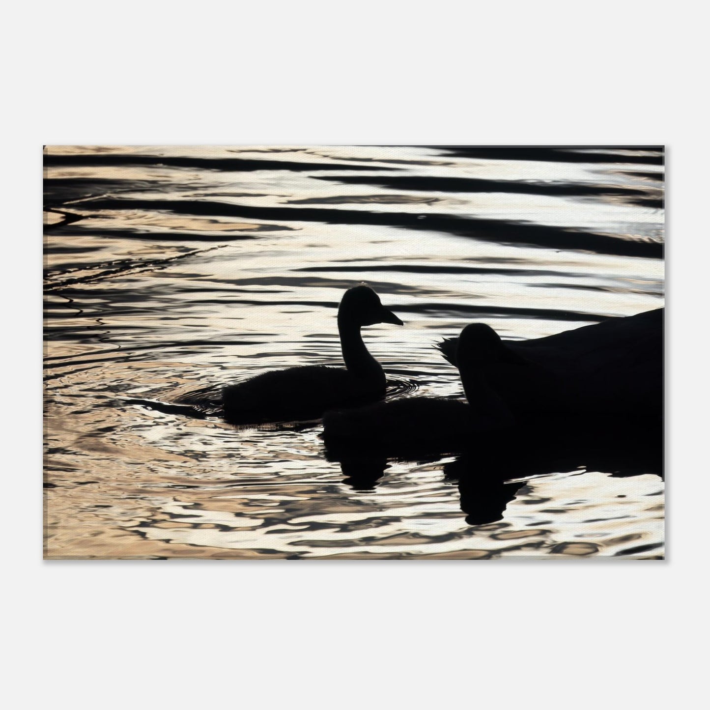 ead28ce9-ca98-44e6-aa7a-904333a62156