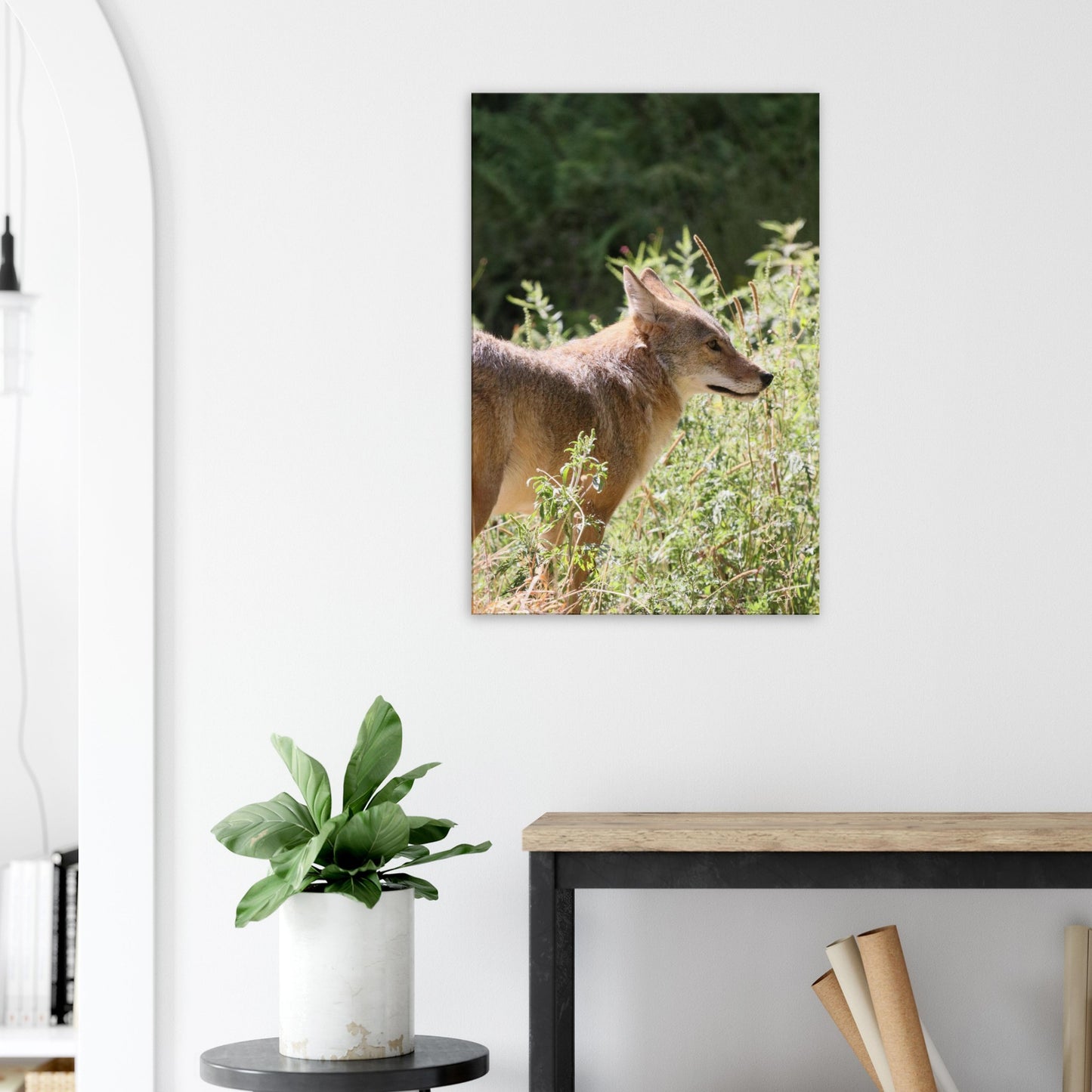 eb170255-2f88-444d-9f63-b620d226f9cc