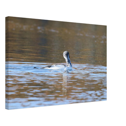 ec4f5cc1-49a7-4556-867d-348e4becef9c