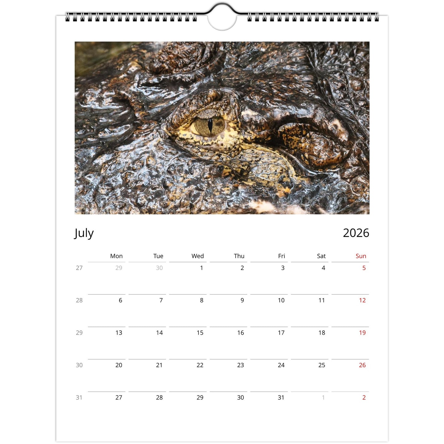 ec7351d8-ad25-45f9-81c5-88d4f7050bec