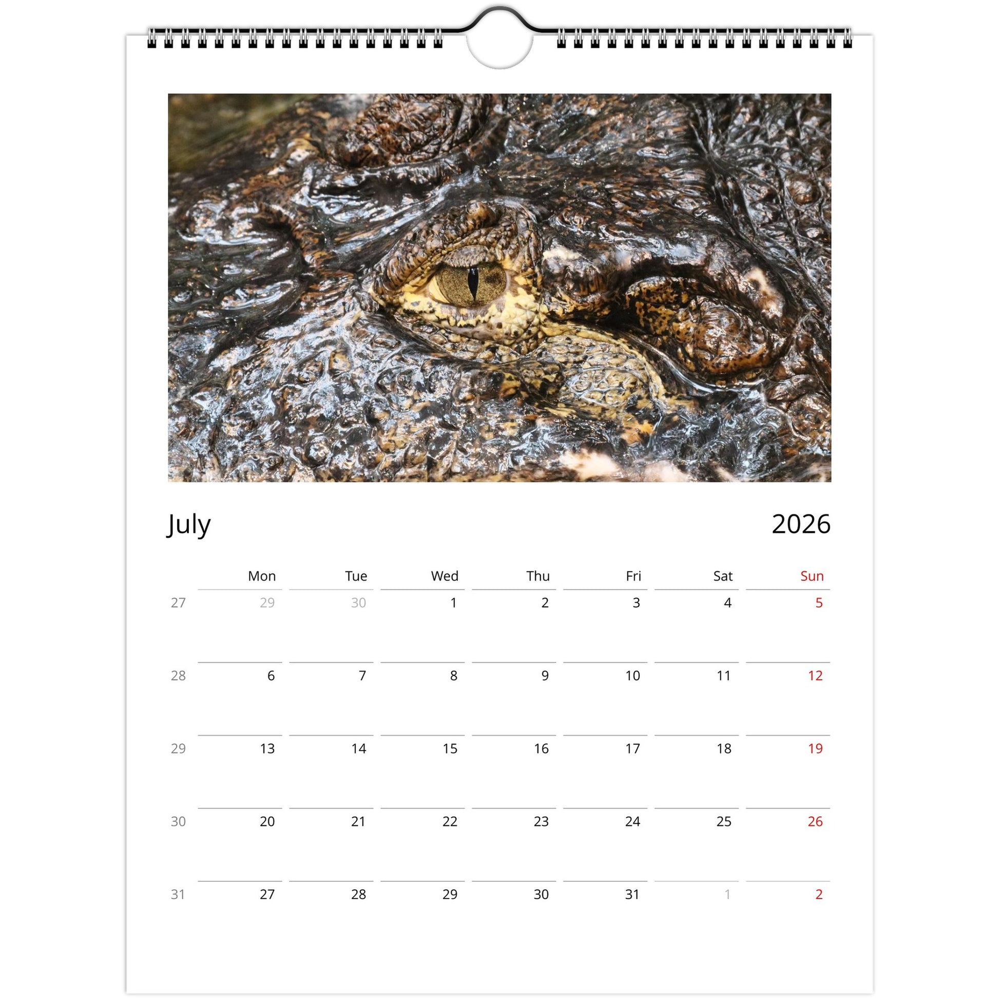 ec7351d8-ad25-45f9-81c5-88d4f7050bec