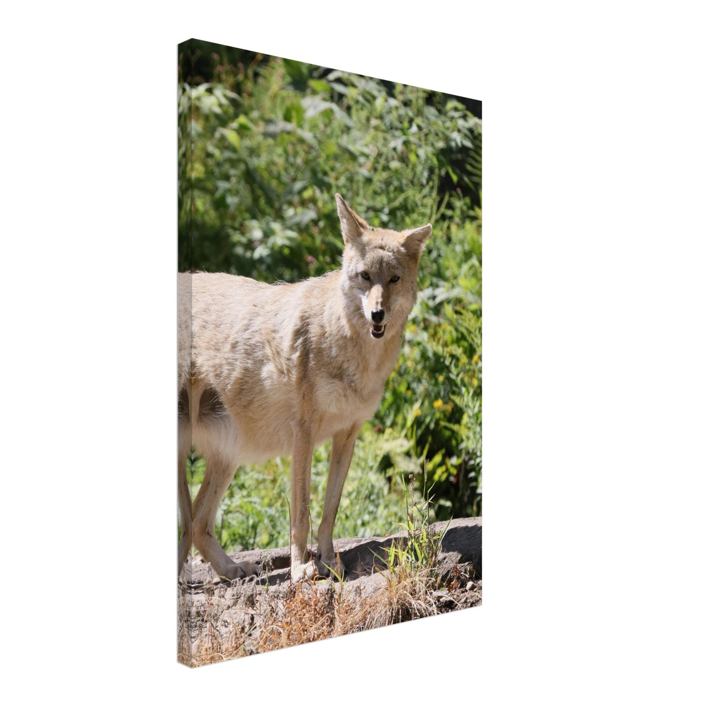 ecb964f3-35eb-4f41-9140-2f1c525128c7