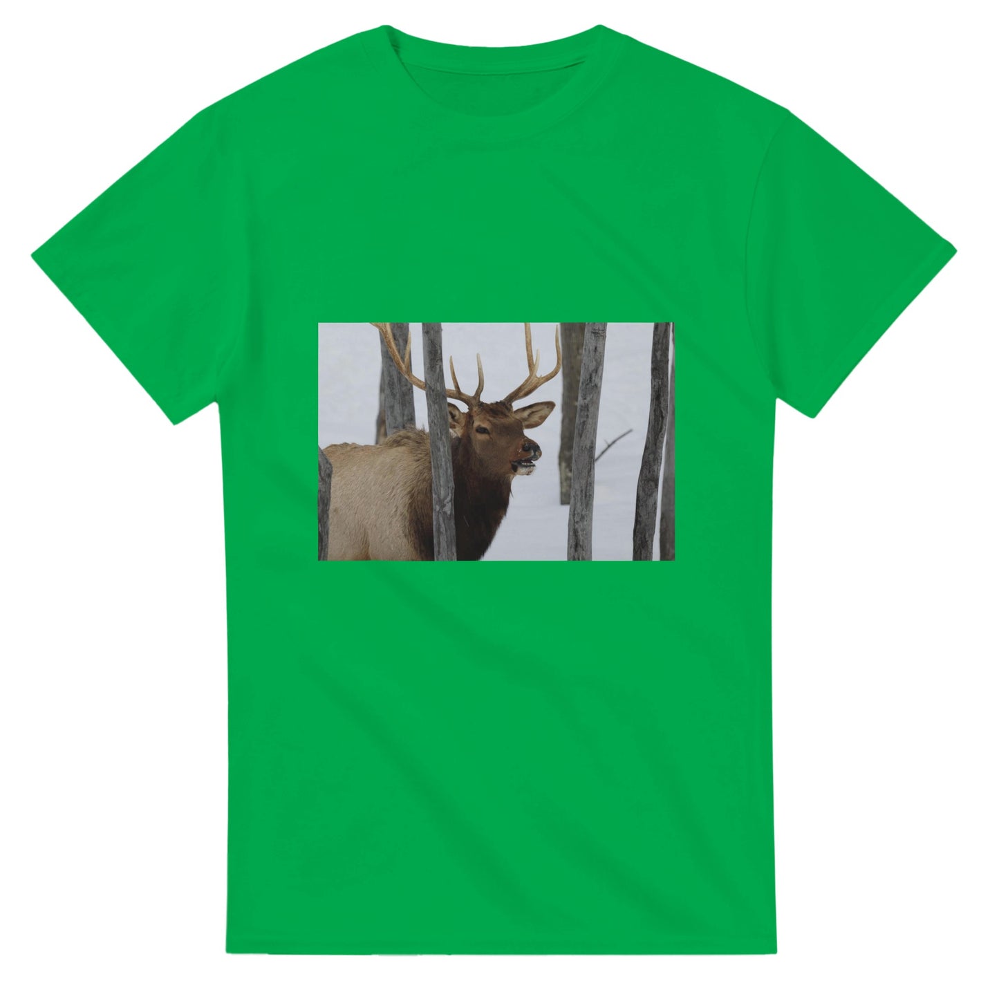 ed34c9f6-c3bf-4045-a4cc-ca71a6354dbd