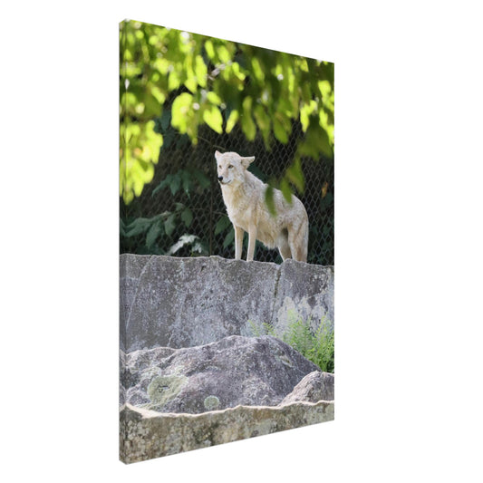 ee2dff82-c254-41bd-8c91-d500bef0eac4