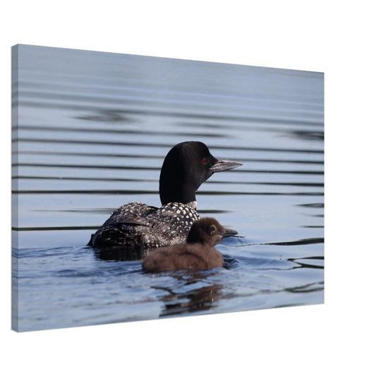 eece3731-0919-4c71-b7c9-3a2767014c17