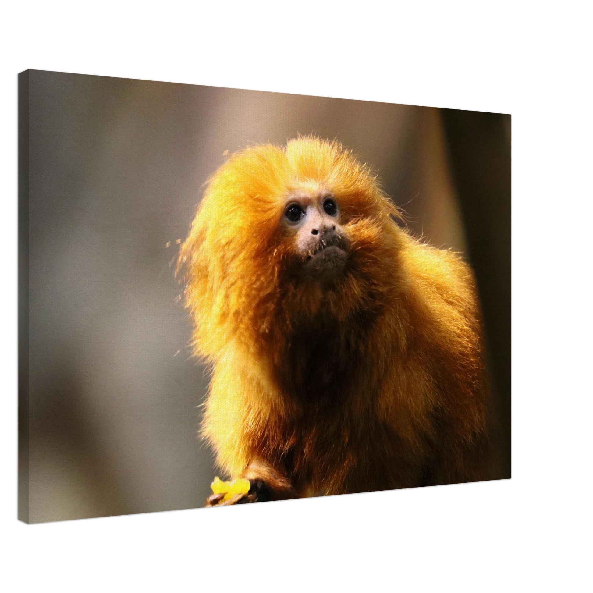 eed346b2-5857-4fc4-a22b-2705aa189c14