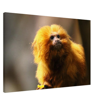 eed346b2-5857-4fc4-a22b-2705aa189c14