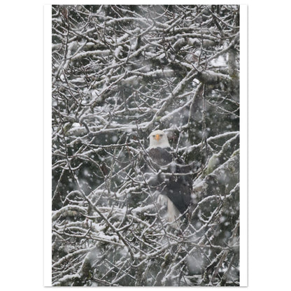 ef51ddd5-9f56-4caa-a0d8-6a104eb91953