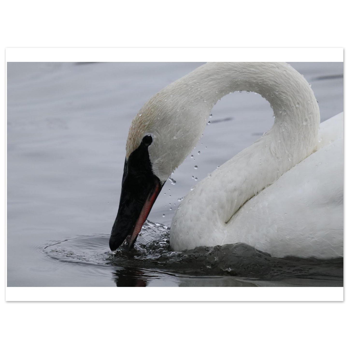 ef5faab2-ef61-4d97-aed4-1d056260ba52