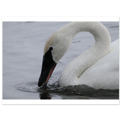 ef5faab2-ef61-4d97-aed4-1d056260ba52