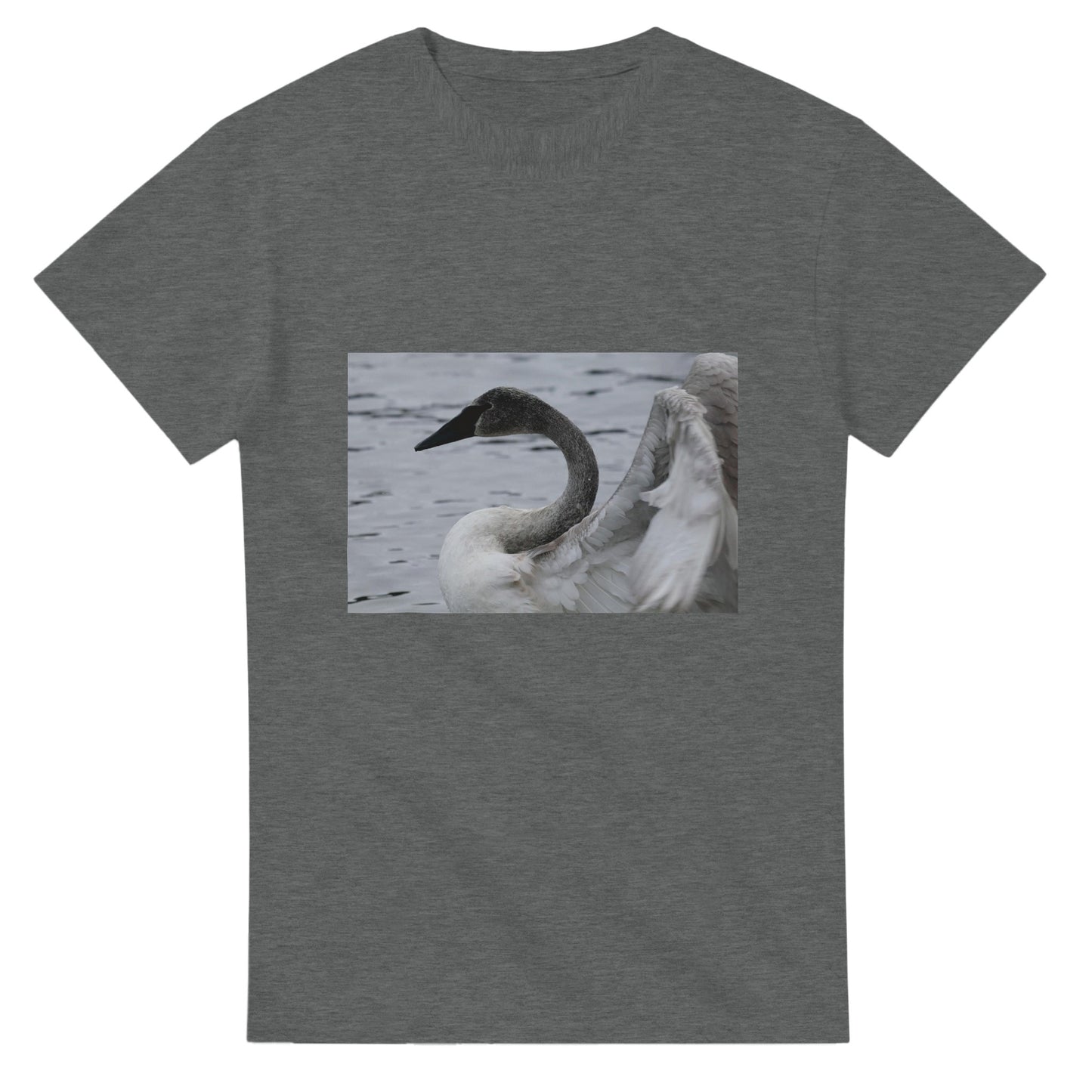 ef989812-c36e-4d6f-8aea-68e0d78b41c2