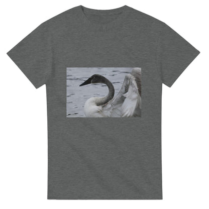 ef989812-c36e-4d6f-8aea-68e0d78b41c2