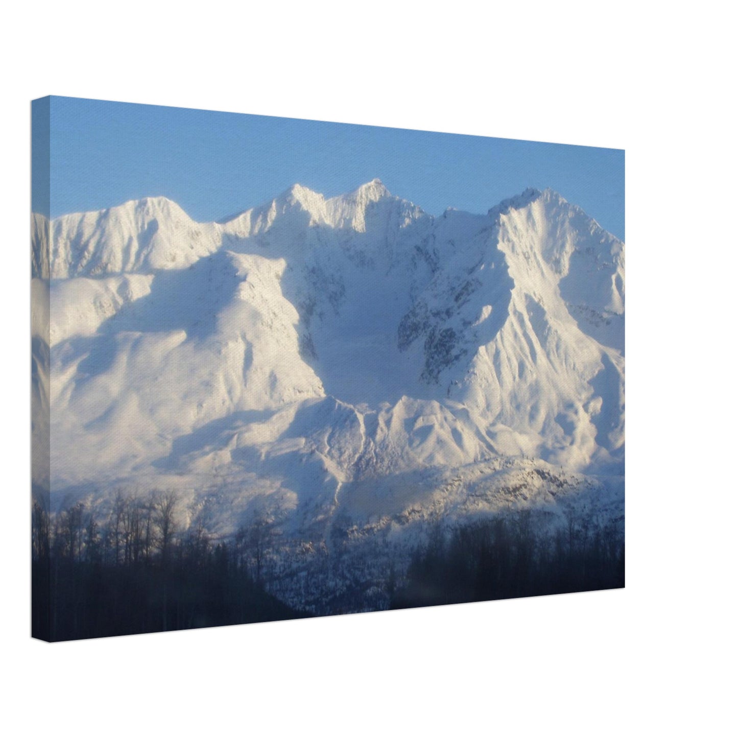 efd6a473-072d-42ed-bb00-d12365eb52f6