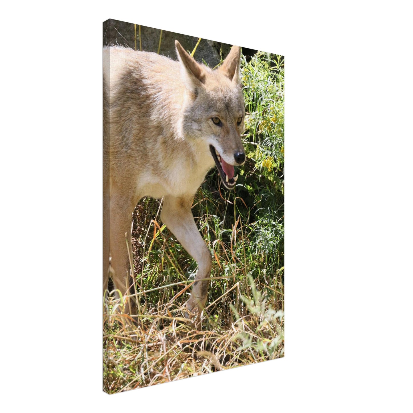 f0123aa3-19ec-48be-88b9-068135e11f4e