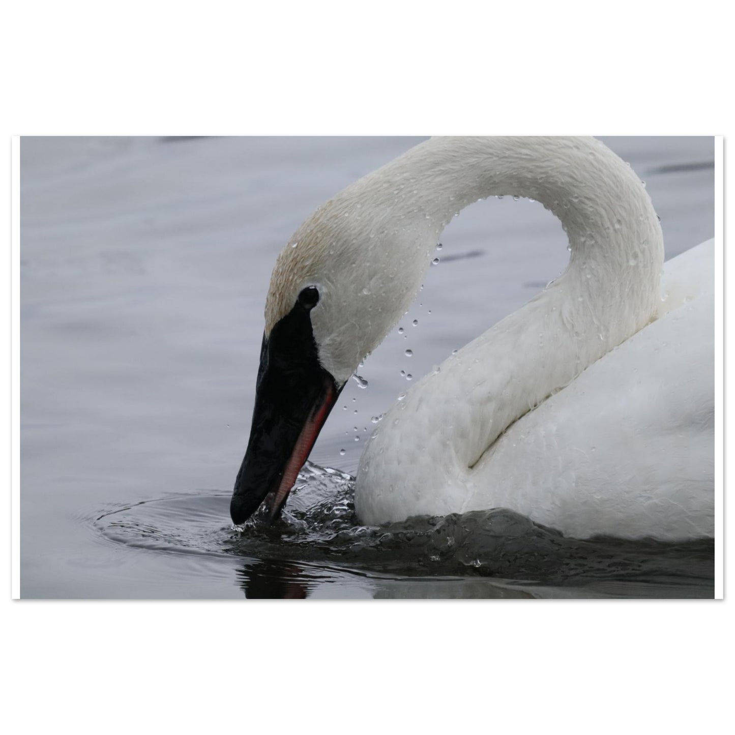 f0a9def0-a201-4bab-b65d-297b343bc889