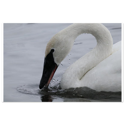 f0a9def0-a201-4bab-b65d-297b343bc889