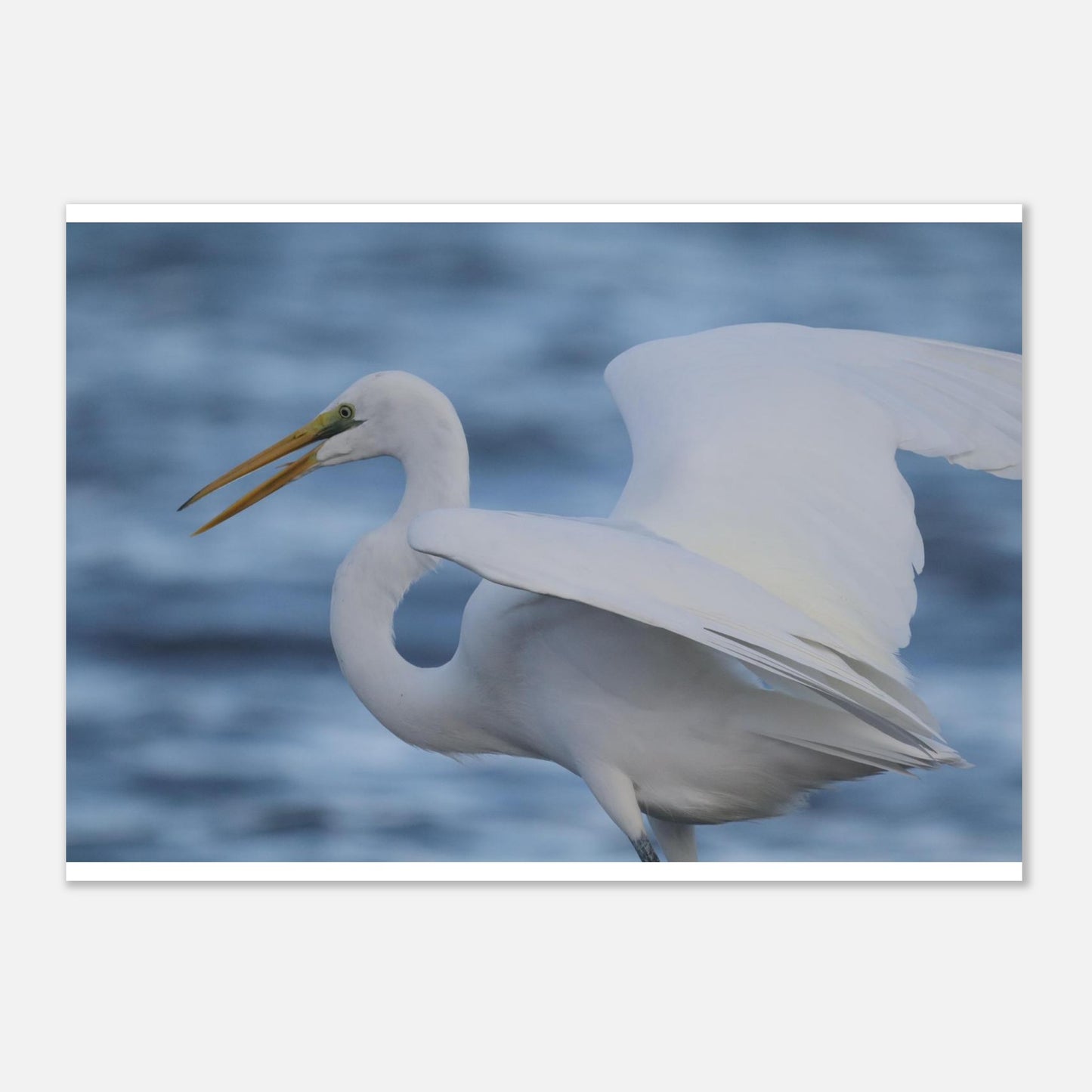 f14dee76-93ea-4c05-977a-c6130f63526e