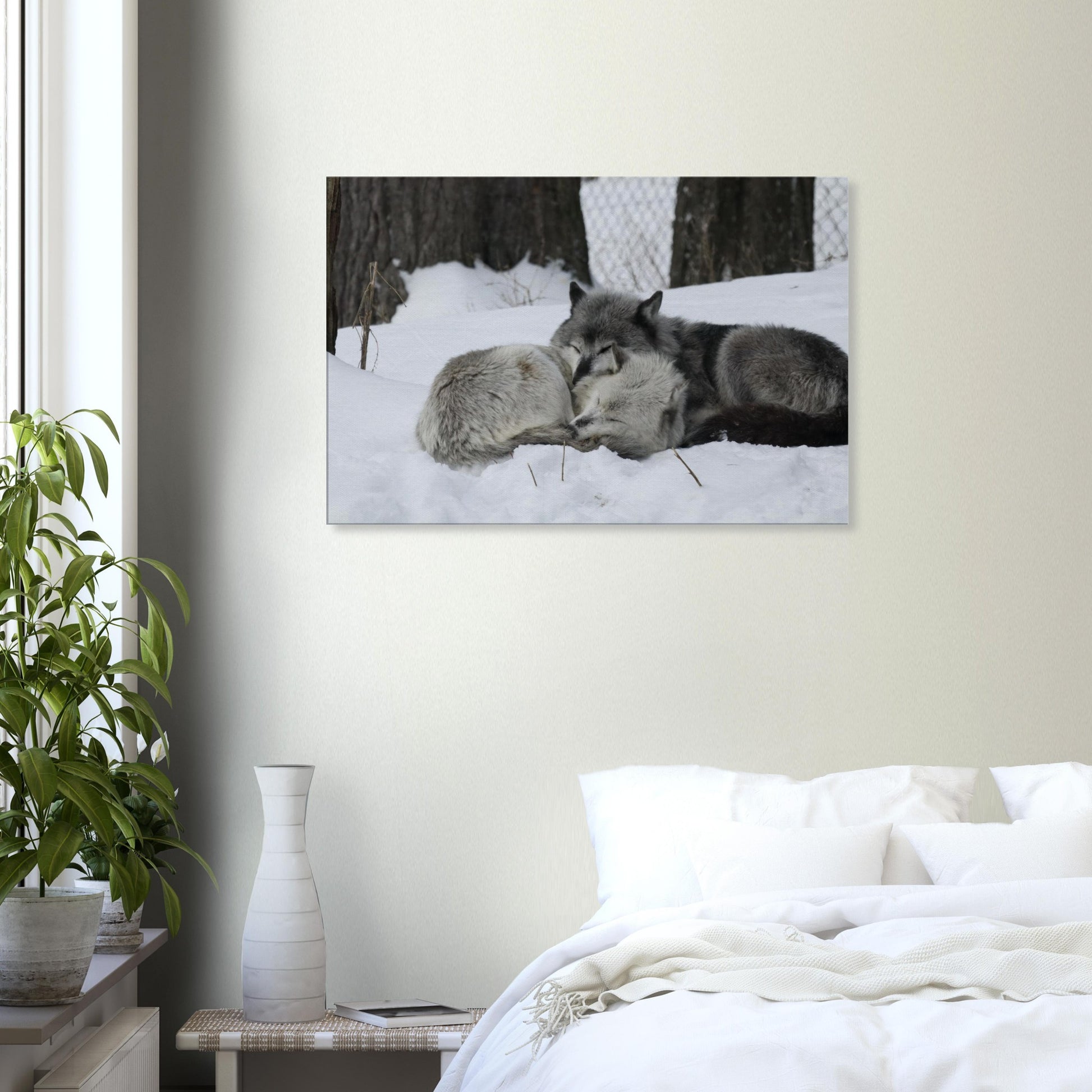 f1d65a30-8082-45a9-a12a-838b5876f1fc