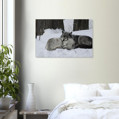 f1d65a30-8082-45a9-a12a-838b5876f1fc