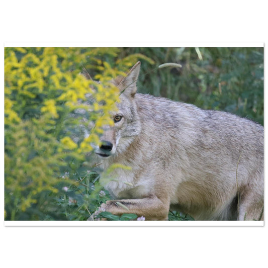 f2bec494-f9d7-4013-9e70-573a52e9c66a