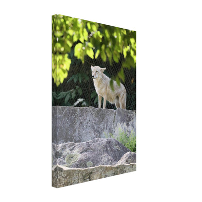 f587c68b-defe-4276-97d1-bbe0dc84fd3f