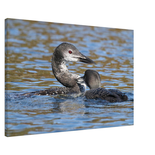 f5b3ec70-bd71-412e-a45f-5b9162795675