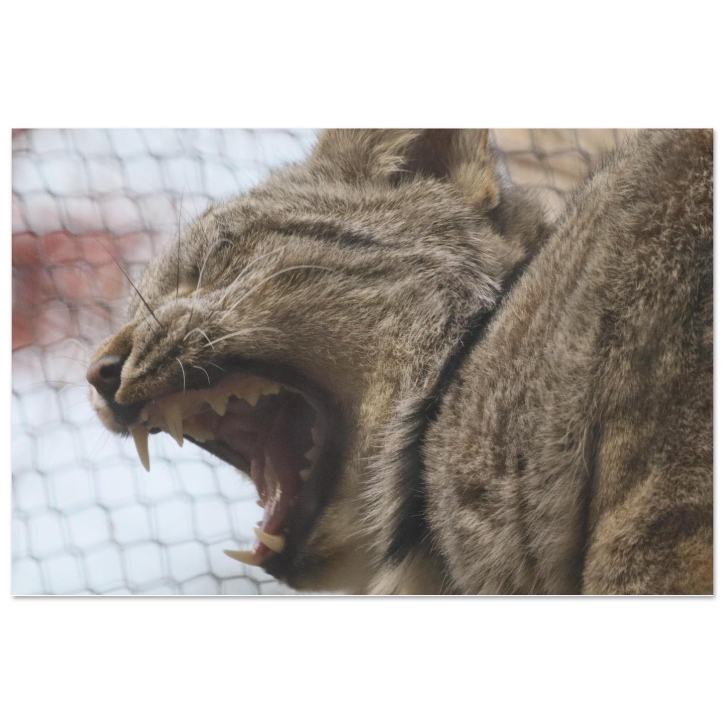 f5c3485e-6d9a-485b-9ef0-23975db35032