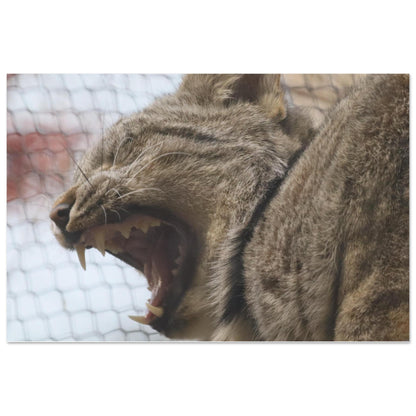 f5c3485e-6d9a-485b-9ef0-23975db35032