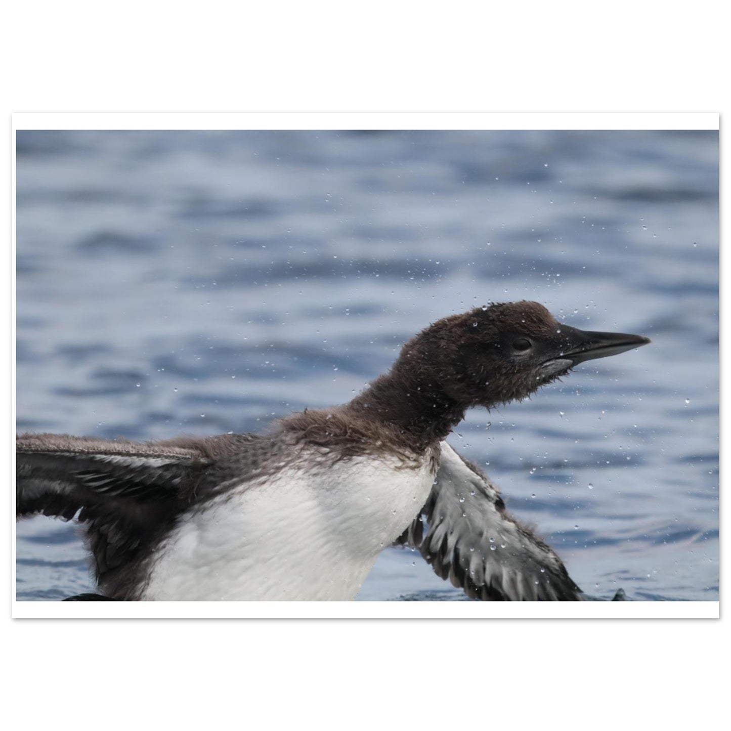 f5ca937c-7b75-40fe-b006-8d18a96e1d48