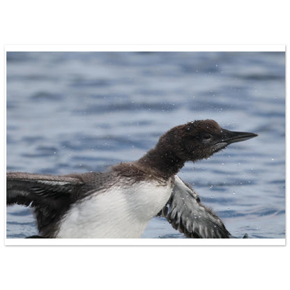 f5ca937c-7b75-40fe-b006-8d18a96e1d48