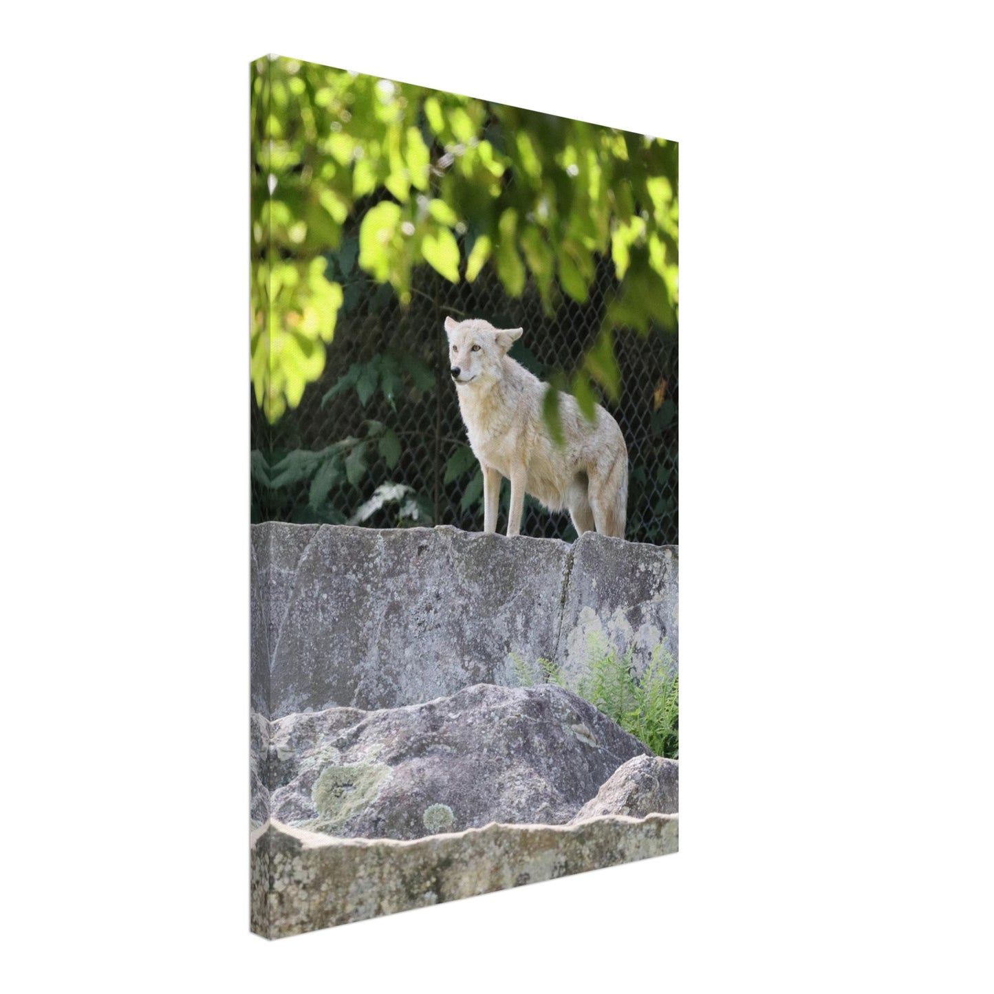 f60046c4-25f2-4f08-a133-553fff0a2dd8