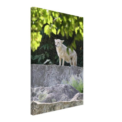 f60046c4-25f2-4f08-a133-553fff0a2dd8