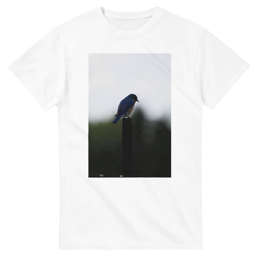 f6849071-2df2-4321-9682-853f0d4e551f