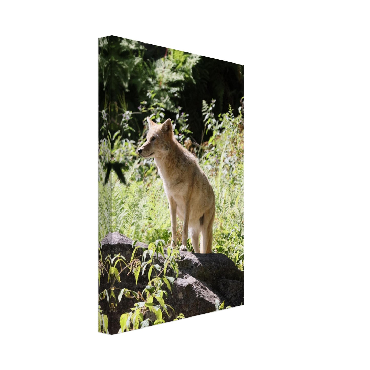 f6cdc20b-9c95-4c2b-9e77-8a0d8124d3c9